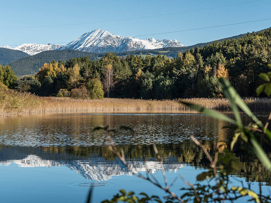 Raier Moos - Flötscherhof