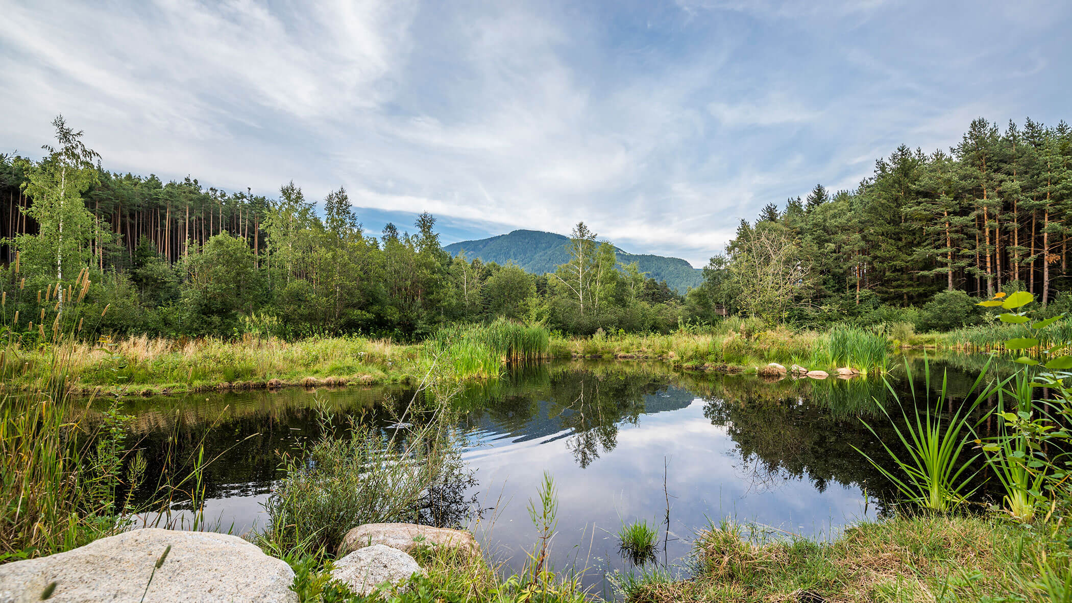 Biotop Hairer - Flötscherhof