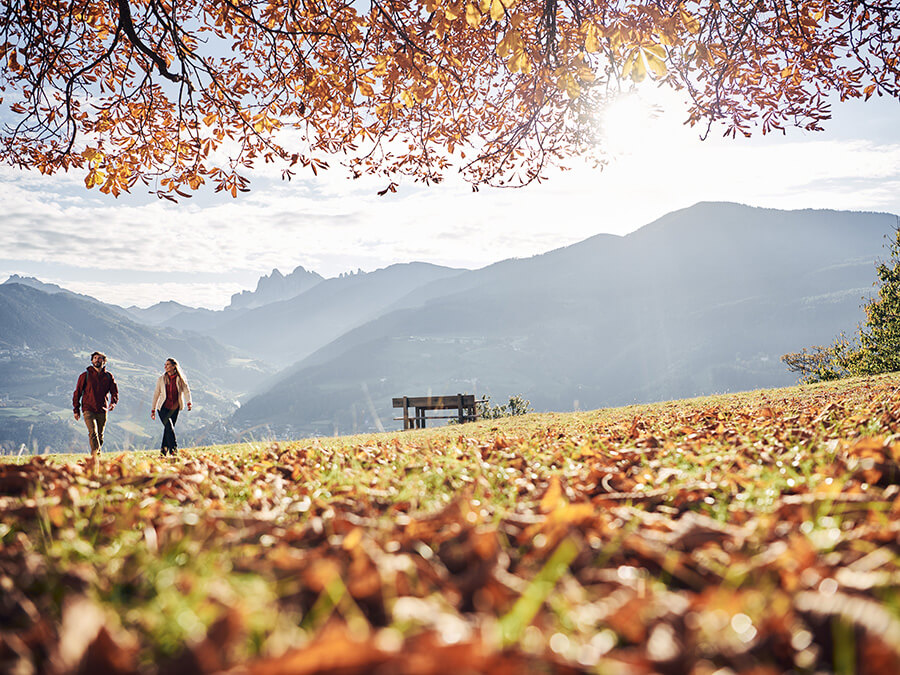 Autumn mood - Flötscherhof