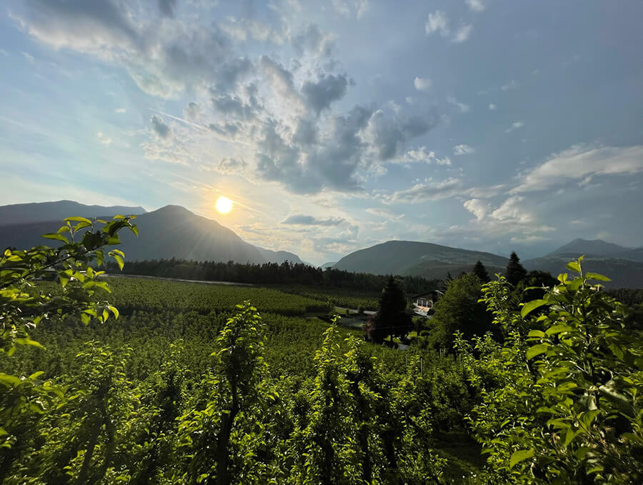 View - Flötscherhof