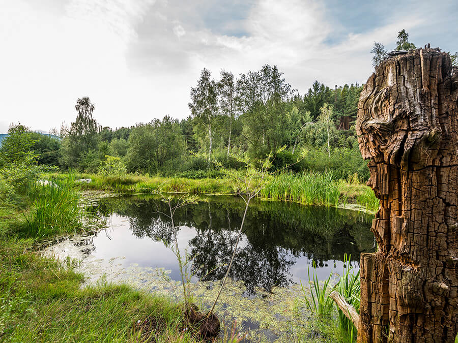 Biotop - Flötscherhof